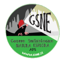 Logo of Gruppo Speleologico Natura Esplora APS